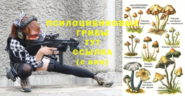 экстази Сясьстрой