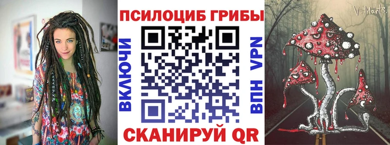 Галлюциногенные грибы MAGIC MUSHROOMS  Купить где  Пучеж 